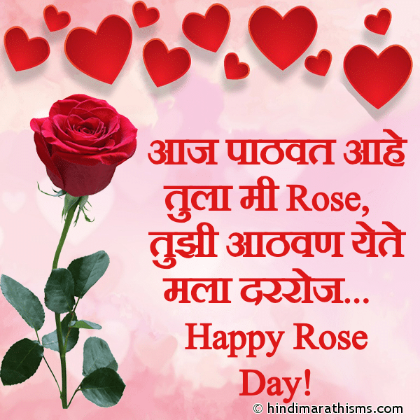 Red Rose Quotes In Marathi